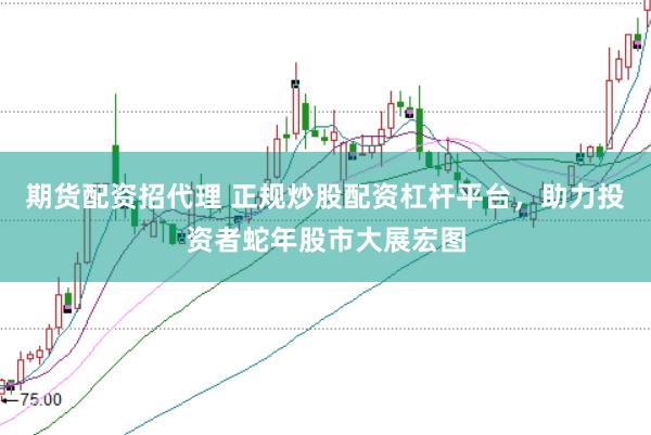 期货配资招代理 正规炒股配资杠杆平台，助力投资者蛇年股市大展宏图
