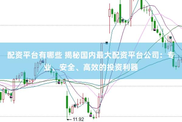 配资平台有哪些 揭秘国内最大配资平台公司：专业、安全、高效的投资利器