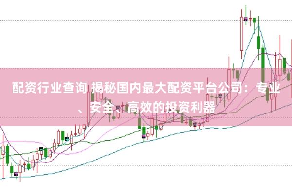 配资行业查询 揭秘国内最大配资平台公司：专业、安全、高效的投资利器