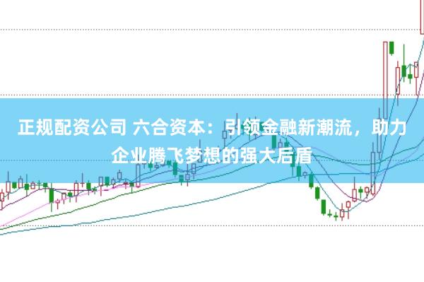 正规配资公司 六合资本：引领金融新潮流，助力企业腾飞梦想的强大后盾