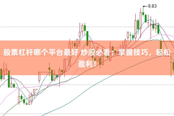 股票杠杆哪个平台最好 炒股必看：掌握技巧，轻松盈利！