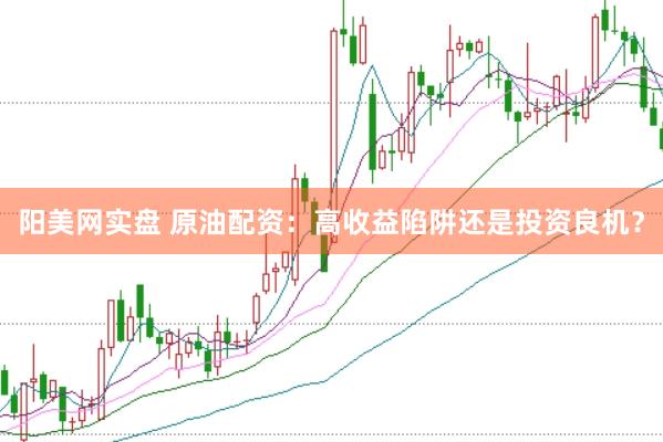 阳美网实盘 原油配资：高收益陷阱还是投资良机？
