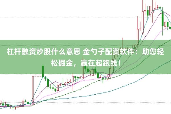 杠杆融资炒股什么意思 金勺子配资软件：助您轻松掘金，赢在起跑线！
