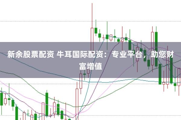 新余股票配资 牛耳国际配资：专业平台，助您财富增值