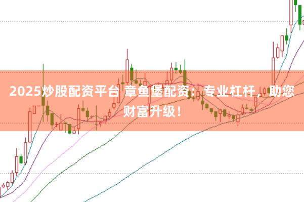 2025炒股配资平台 章鱼堡配资：专业杠杆，助您财富升级！