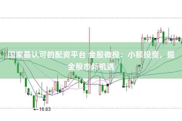 国家最认可的配资平台 金股微投：小额投资，掘金股市新机遇
