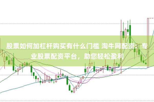 股票如何加杠杆购买有什么门槛 淘牛网配资：专业股票配资平台，助您轻松盈利