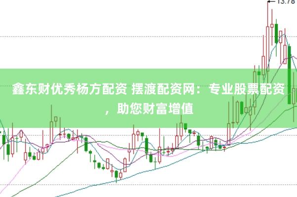 鑫东财优秀杨方配资 摆渡配资网：专业股票配资，助您财富增值