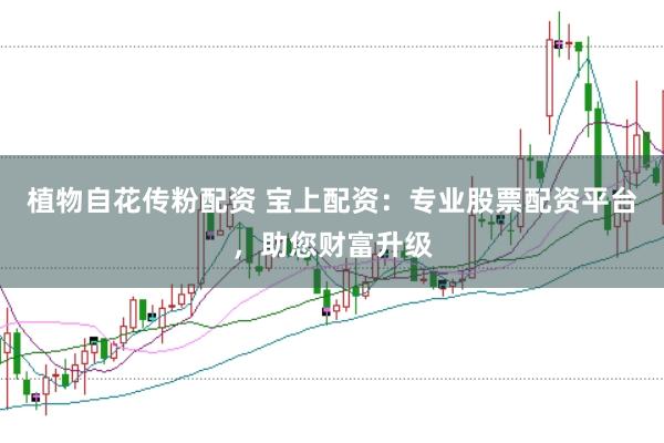 植物自花传粉配资 宝上配资：专业股票配资平台，助您财富升级