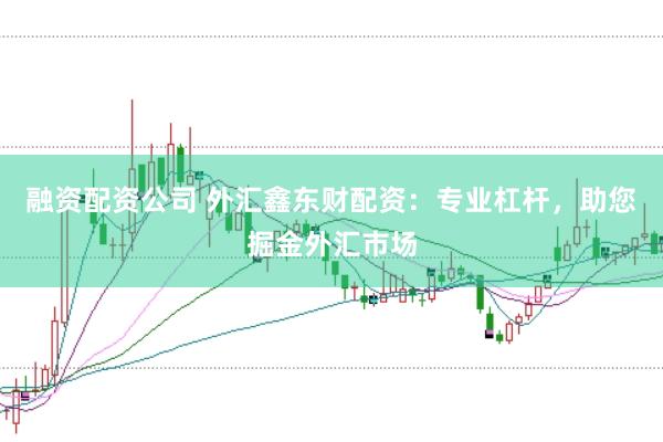 融资配资公司 外汇鑫东财配资：专业杠杆，助您掘金外汇市场