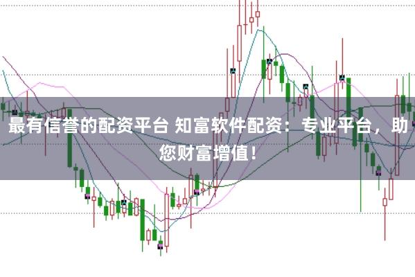 最有信誉的配资平台 知富软件配资：专业平台，助您财富增值！