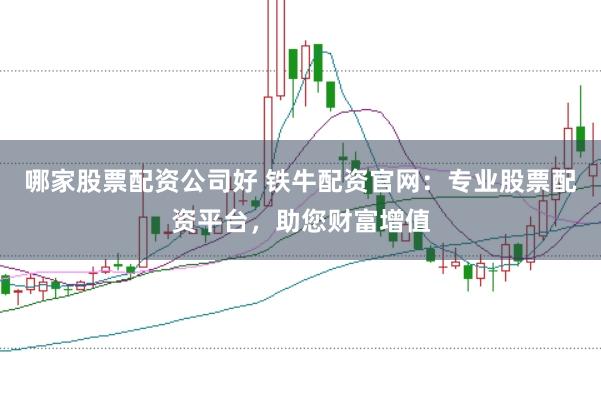 哪家股票配资公司好 铁牛配资官网：专业股票配资平台，助您财富增值
