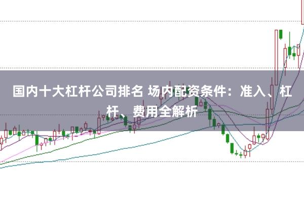 国内十大杠杆公司排名 场内配资条件:准入、杠杆、费用全解析
