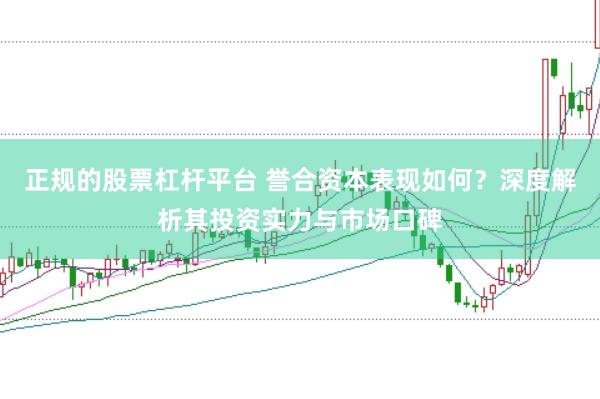 正规的股票杠杆平台 誉合资本表现如何?深度解析其投资实力与市场口碑